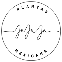 a black background with a plane flying in the sky